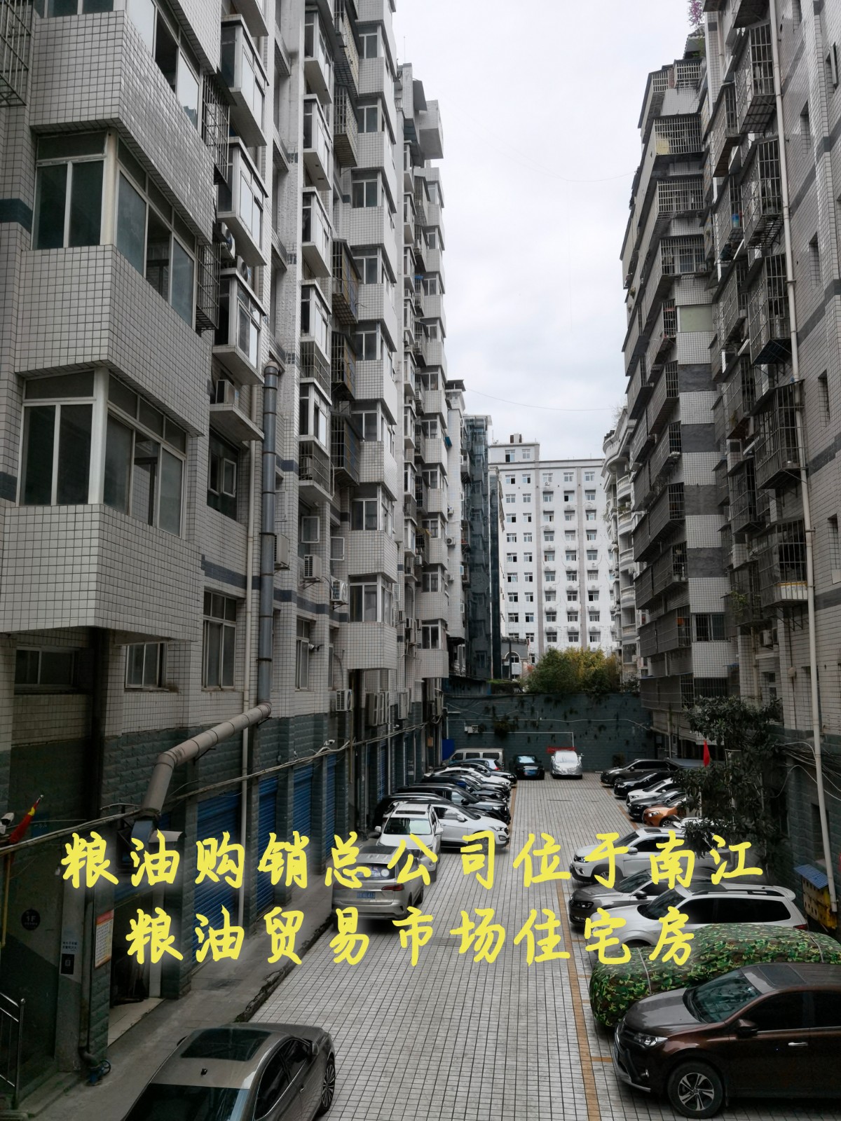 糧油貿(mào)易市場(chǎng)住宅房.jpg